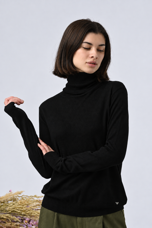 Pull col roulé cachemire Aliz essentiel
